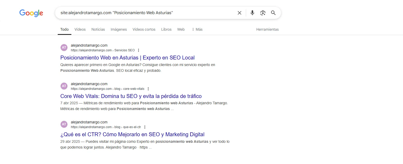 Búsqueda Posicionamiento web Asturias en mi web alejandrotamargo.com