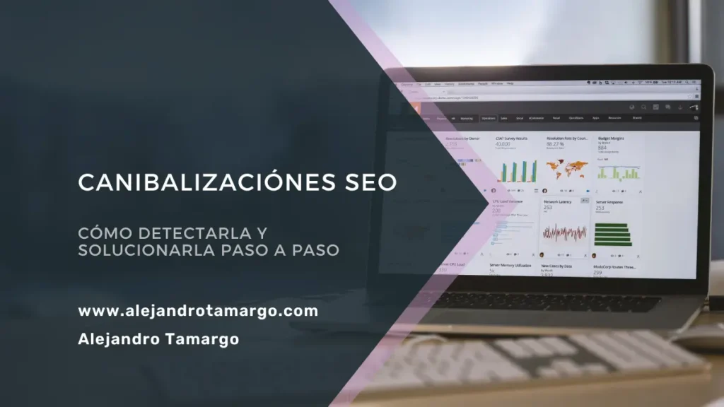 Canibalización SEO: Cómo Detectarla y Solucionarla Paso a Paso