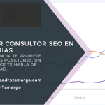 Consultor SEO en Asturias revisando datos de una web en pantalla durante una auditoría